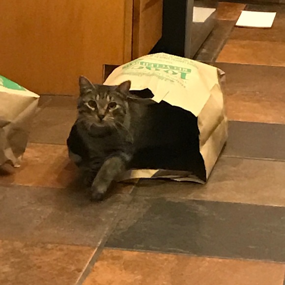 Meet your Posher, Diana - Picture 5 of 17